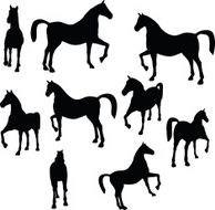 silhouette in show horse pose N8