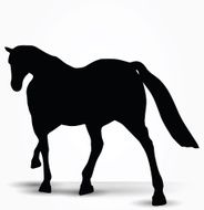 horse silhouette in parade walk pose N2