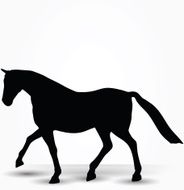 horse silhouette in parade walk pose N3