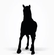 horse silhouette in parade walk pose N6