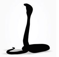 Snake Silhouette N6