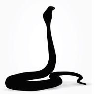 Snake Silhouette N7