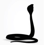 Snake Silhouette N8