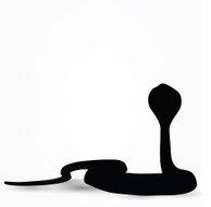 Snake Silhouette N10