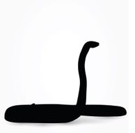 Snake Silhouette N11