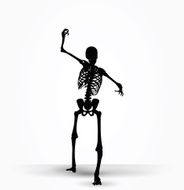 skeleton silhouette in intimidating pose N2