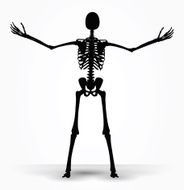 skeleton silhouette in power pose N2