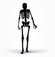 skeleton silhouette in old walk pose N5
