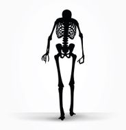 skeleton silhouette in old walk pose N7