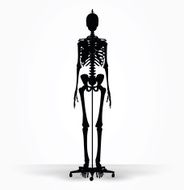 skeleton silhouette in default pose N2