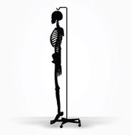 skeleton silhouette in default pose N3