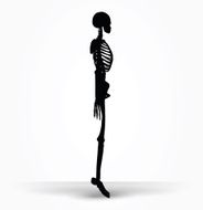 skeleton silhouette in default pose N5