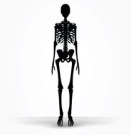skeleton silhouette in default pose N6
