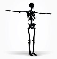 skeleton silhouette in default pose N7