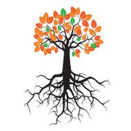 Color Tree with Roots and Leafs N2
