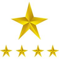 Shiny Gold Stasr
