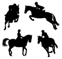 Horse competition