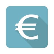 Euro icon