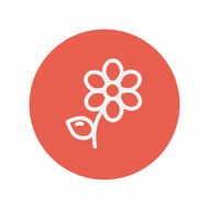 Flower thin line icon