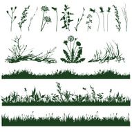 Grass N6