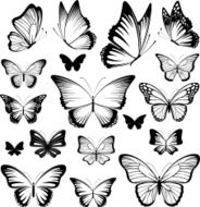 butterfly vector silhouettes