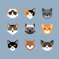 Cats heads in flat style N2