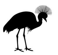 Vector crane