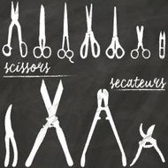 Scissors N55