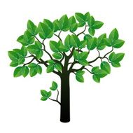Tree and Big Leafs N2