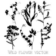 Silhouettes of wild flowers and leaves vector N5