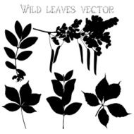 Silhouettes of wild flowers and leaves vector N6