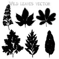 Silhouettes of wild flowers and leaves vector N7