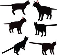 Cat Silhouette N33