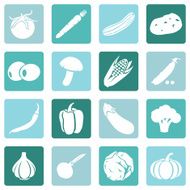 Vector Set of Vegetables Icons N7