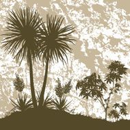 Palms Plant and Abstract Background