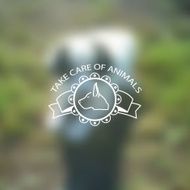Take care of animals (dog) 1