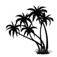 Palm trees silhouette N2