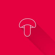 Mushroom N12