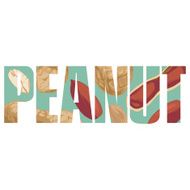 Peanut sign