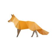 Fox isolated on a white backgrounds
