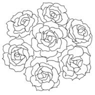 Large bouquet of roses