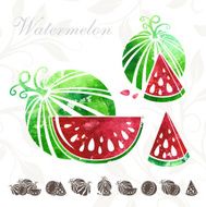 Watermelon icons set N2
