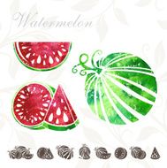 Watermelon icons set N3