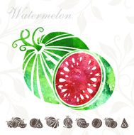 Watermelon icons set N4