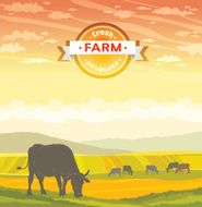Cow and rural landscape