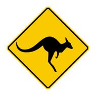 kangaroo N12
