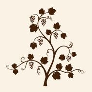 Grapevine silhouette
