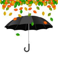 Black umbrella with falling leaves N2