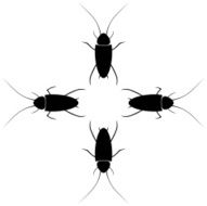 cockroaches with different tentacles