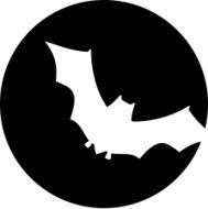 Bat in front of moon